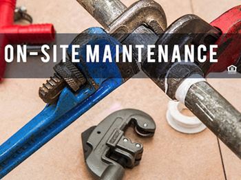 Maintenance