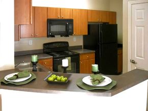 Muscogee Columbus apartment for rent - A kitchen and bar area with black appliances and wood cabinets