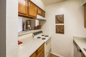 Dallas apartment for rent - a kitchen with a stove top oven and a sink