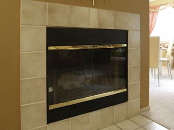 Wood-burning fireplace