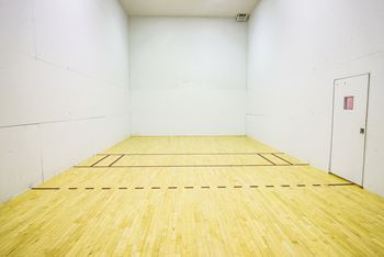 Indoor sports court
