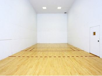Indoor sports court