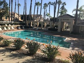 Laguna Niguel apartment for rent - a large swimming pool with palm trees in the background