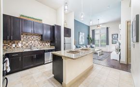 Frisco apartment for rent - a kitchen with black cabinets and a counter top