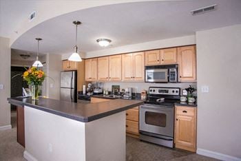 Stainless steel appliances*