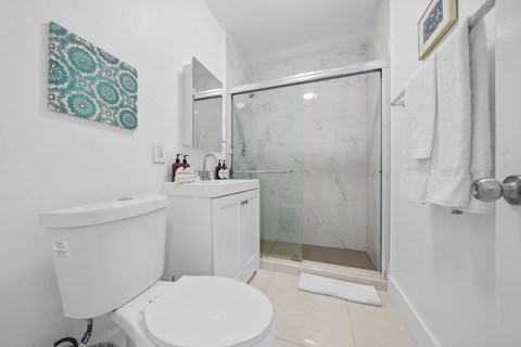 Floor plan for studio, 1 bath, 300 sqft