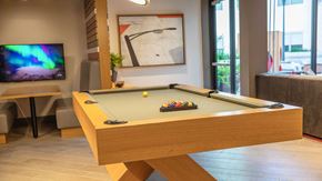 San Bruno apartment for rent - a games room with a pool table and a tv