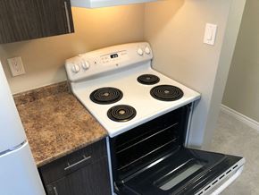 Sarnia apartment for rent - a stove top oven in a kitchen with a counter top