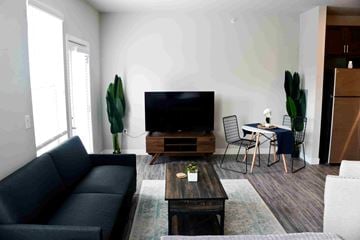 Indianapolis apartment for rent - A living room with a black sofa, a wooden coffee table, a flat screen TV, a dining table with chairs, and a potted plant.