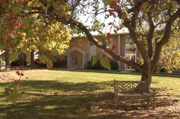 Bloomington apartment for rent - a bench under a tree in front of a house