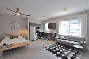 Miami Beach apartment for rent - a bedroom with a bed and a living room with a kitchen