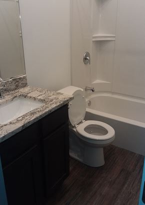 Saint Paul apartment for rent - a bathroom with a toilet and a sink and a bath tub