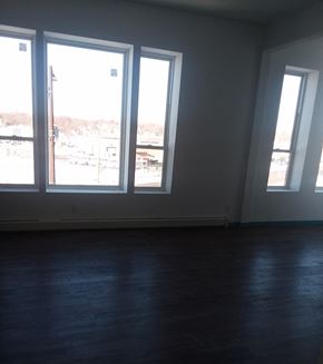 Saint Paul apartment for rent - an empty living room with three large windows