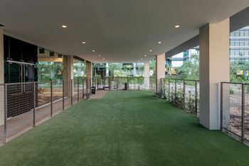Dog park & pet spa
