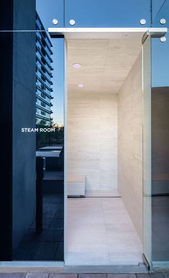 Saunas, steam, spas, cold plunge & hydrotherapy