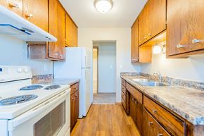 St. Paul apartment for rent - a kitchen with a stove refrigerator and sink