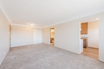 St. Paul apartment for rent - a living room with a carpet and a door to a bathroom