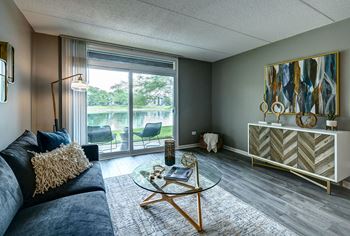 Living room with expansive window