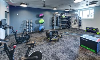 Fitness center strength and conditioning equipment