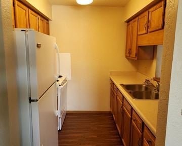Albert Lea apartment for rent - a kitchen with a refrigerator and a sink