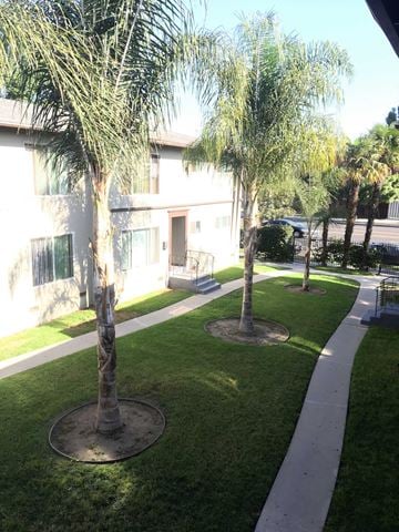 Los Angeles apartment for rent - a yard with palm trees in front of a building