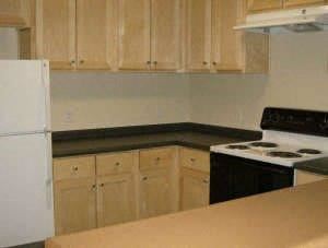 Seattle apartment for rent - a kitchen with a stove and a refrigerator