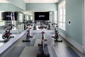 Tampa apartment for rent - Bainbridge at Westshore Marina Fitness Center