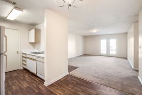 Hattiesburg apartment for rent - Living room area at Park Pines Apartments, Hattiesburg, MS