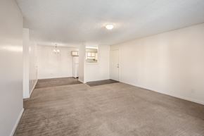 Hattiesburg apartment for rent - Living room view at Park Pines Apartments, Hattiesburg, 39401