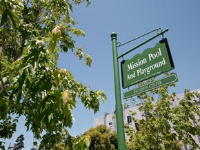 San Francisco apartment for rent - a green street sign sitting next to a tree
