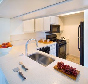 Los Angeles apartment for rent - a kitchen with a sink and a counter top