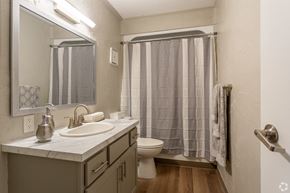 Twinsburg apartment for rent - a bathroom with a sink and a toilet and a shower