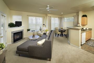 Thornton apartment for rent - A living room with a grey couch and a fireplace.