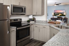 Henrico apartment for rent - Henrico apartments for rent - The Madison Apartments upgraded appliances