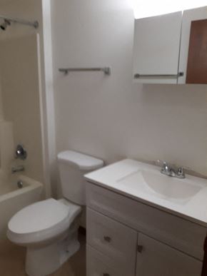 Sussex apartment for rent - A white toilet sits next to a sink in a small bathroom.