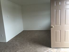 Sidney apartment for rent - A room with a carpeted floor and a closed door.