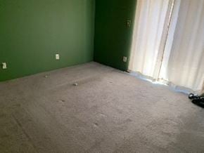 Atascadero apartment for rent - A room with a green wall and a carpet.