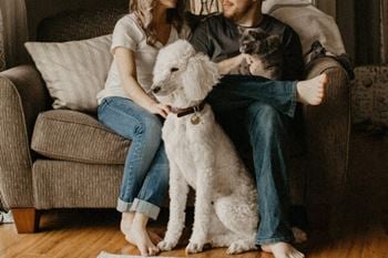 Pet friendly