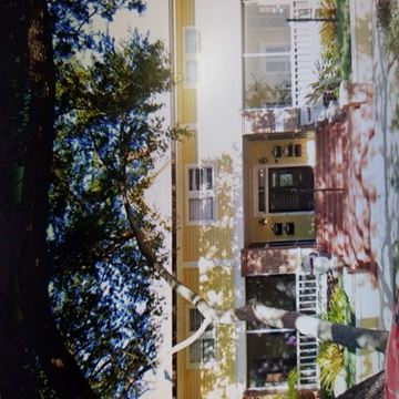 Tampa apartment for rent - a picture of a house with a tree and a microwave on the balcony