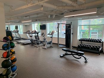 Free weights