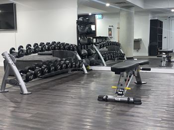 Free weights