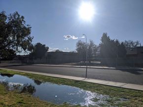 Phoenix house for rent - A sunny day with a puddle on the sidewalk.
