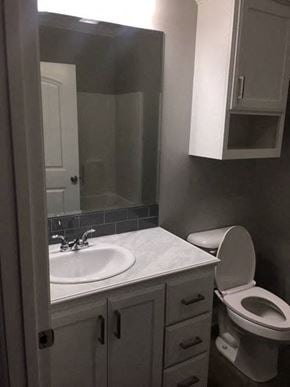 Eunice apartment for rent - A bathroom with a toilet, sink, and mirror.