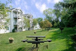 North Olmsted apartment for rent - a picnic table in a park in front of a house