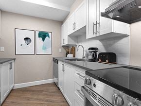 Ottawa apartment for rent - a kitchen with white cabinets and stainless steel appliances and a stove