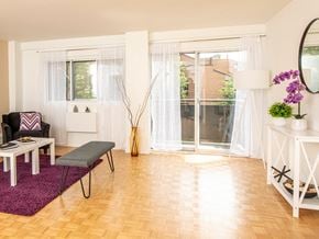 Ottawa apartment for rent - a living room with a purple rug and a window