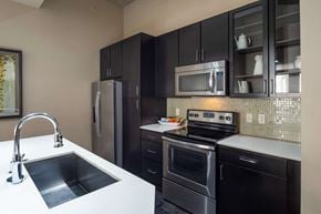 Houston apartment for rent - A modern kitchen with black cabinets and stainless steel appliances.