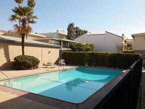 Valley Village apartment for rent - a swimming pool in the backyard of a house with a palm tree