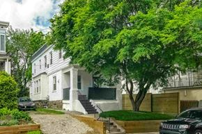 Narberth apartment for rent - a white house with a tree in front of it
