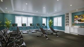 Uniondale apartment for rent - a gym with treadmills and weights in a room with blue walls